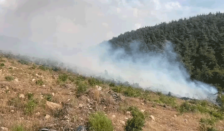 Bilecik’te yangın alarmı: 15 gün arayla aynı noktada ikinci yangın