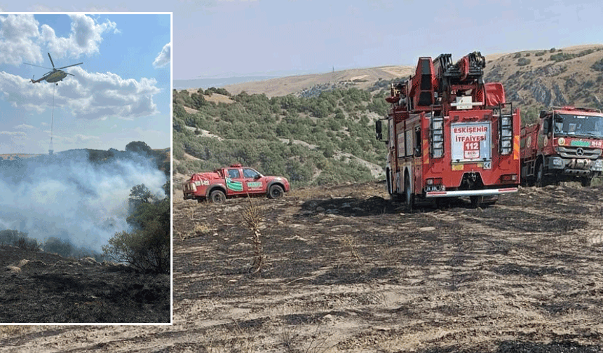 Eskişehir’de tarla yangını ormana sıçradı