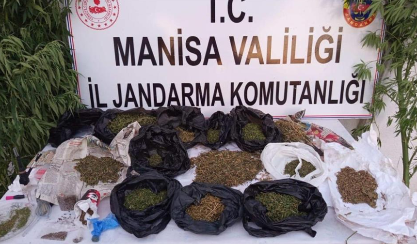 Manisa’da jandarmadan zehirli madde operasyonu