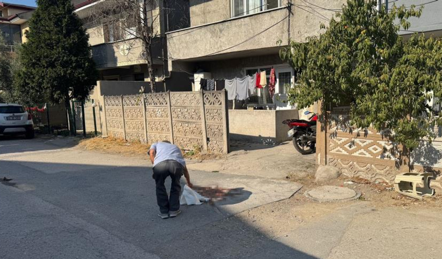 Sakarya'da tartıştığı babasını pompalı tüfekle vurarak öldürmüştü, tutuklandı