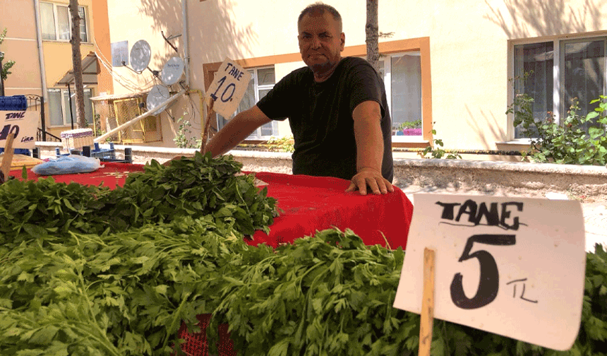 Pazarcı esnafı isyanda: Satışlar yarı yarıya düştü