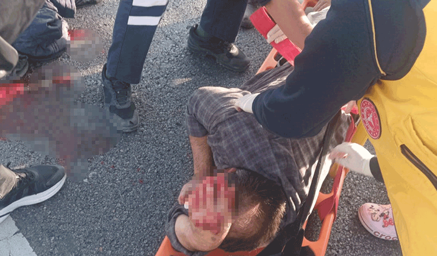 Afyon'da köpeğe çarpmamak için manevra yapan sürücü yaralandı