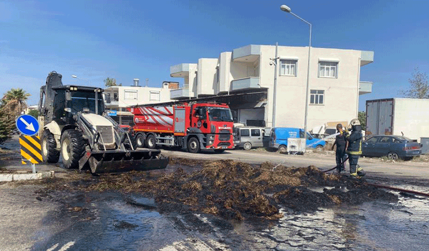 Antalya'da saman balyaları küle döndü