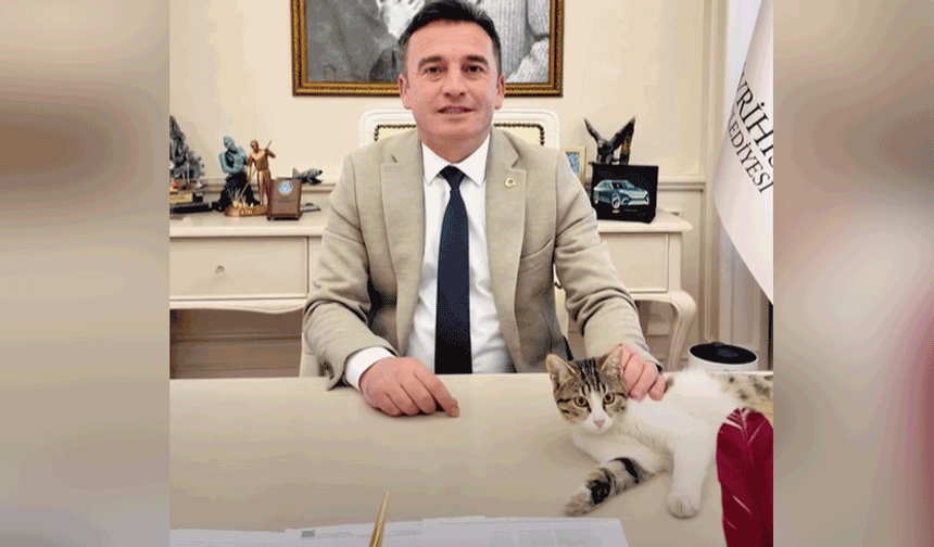 Başkan Dökmeci'den Dünya Kadın Hakları Günü mesajı