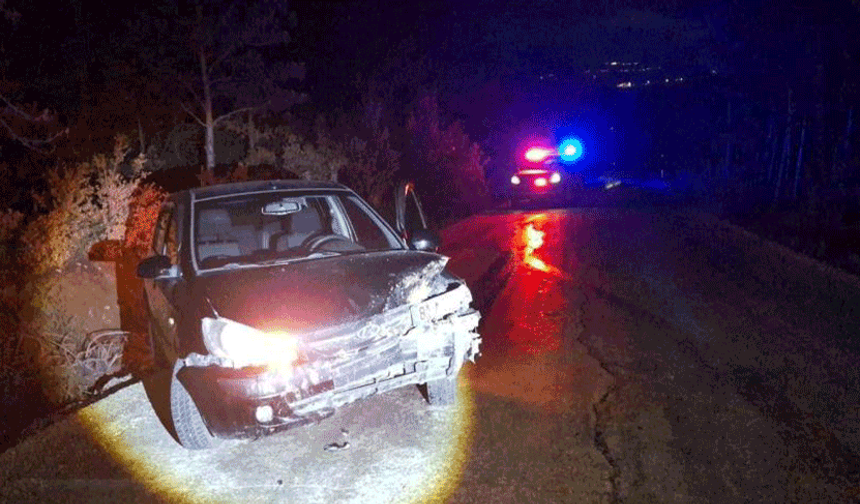 Bilecik'te kontrolden çıkan otomobil ağaca çarptı: 1 yaralı