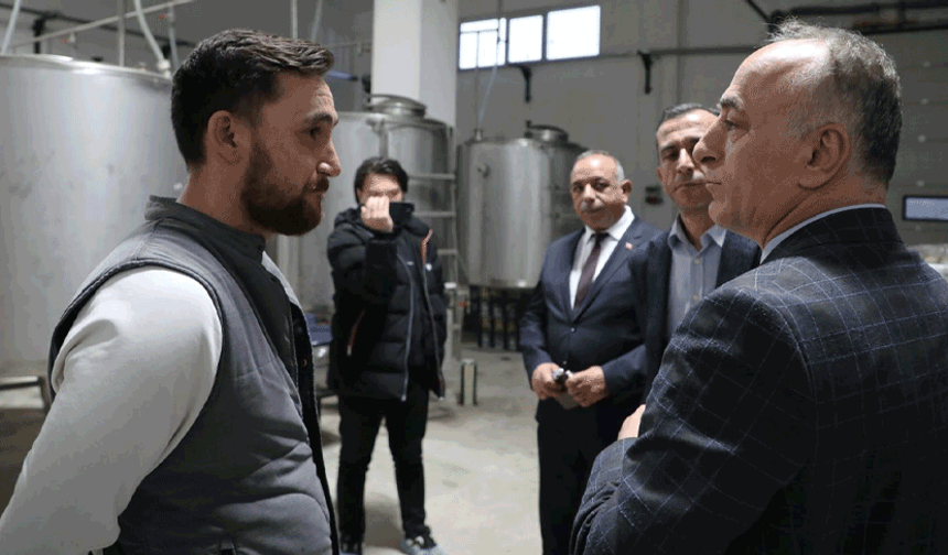 Sarıcakaya’da zeytin ve zeytinyağı üretimi hızla artıyor