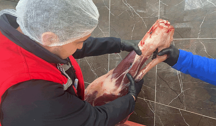 Afyon'da halk sağlığı için gıda işletmeleri kontrol altında