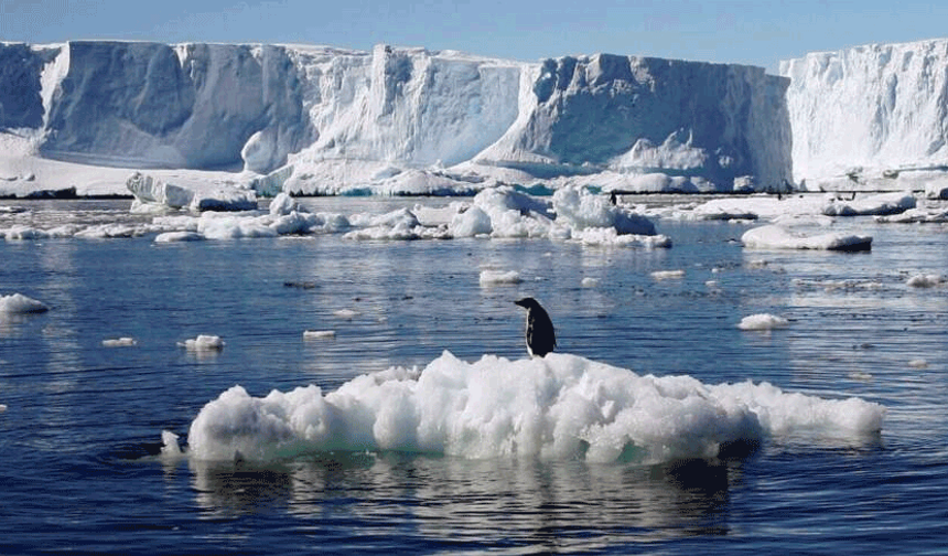 Antarktika’da yeni analiz yöntemleri geliştirilecek