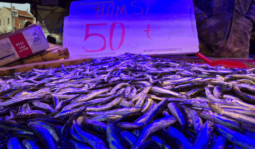 Eskişehir’de hamsi 50 TL’ye düştü, metrelerce kuyruk oluştu