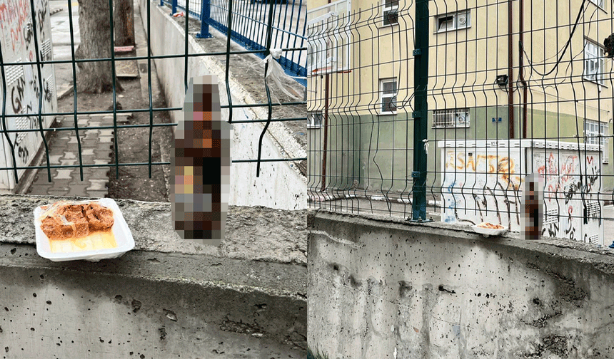 Eskişehir’de okul duvarında velilerin tepkisini çeken görüntü