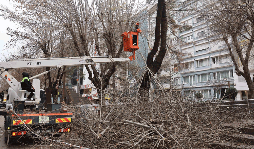 Odunpazarı'nın kalbi Hamamyolu'nda bakım çalışması
