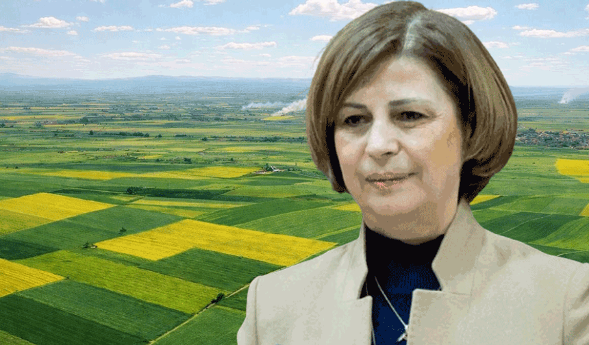 Başkan Ünlüce açıkladı: Mahkeme termik santral planını iptal etti