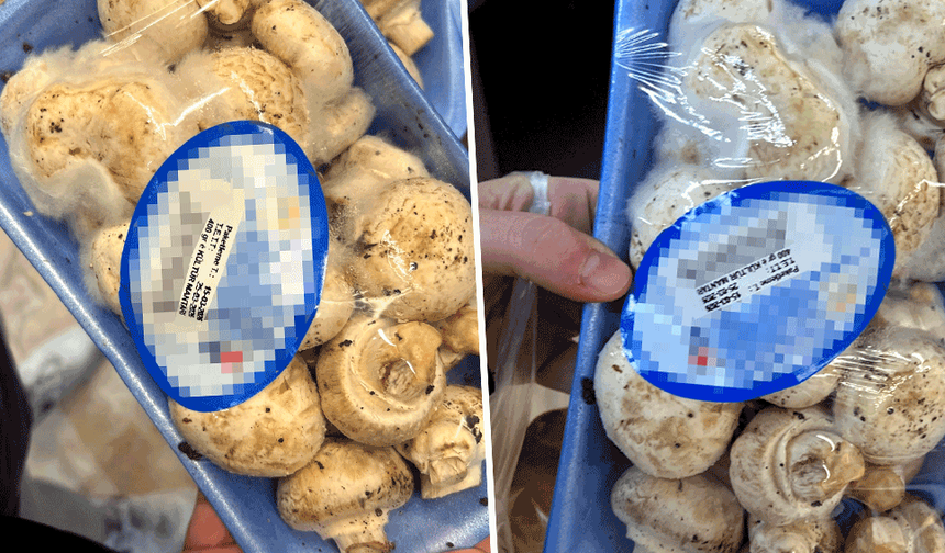 Eskişehir’de zincir markette bozuk ürün skandalı