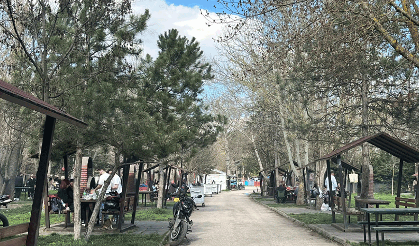 Eskişehir’de piknik sezonu açıldı