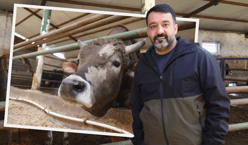 Kurbanlık alacaklar dikkat: Eskişehir’de “son güne bırakmayın” uyarısı