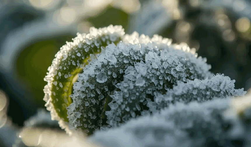 Meteoroloji’den Eskişehir için kar ve zirai don uyarısı