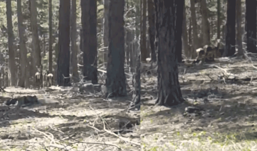 Mihalıççık’ta doğanın kalbinden unutulmaz anlar