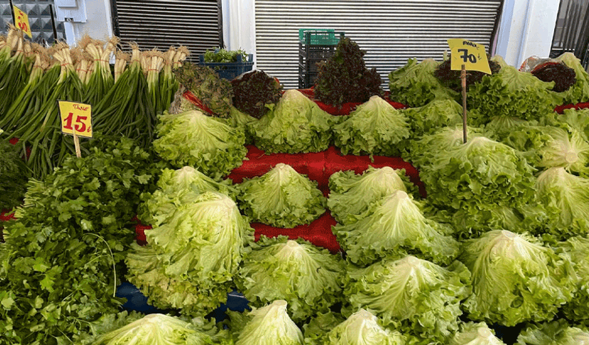 Yeşillik tezgahı el yakıyor