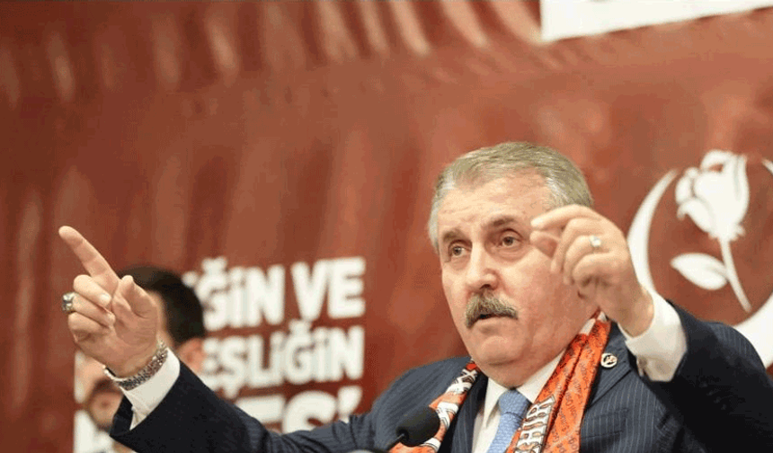 Destici: “Çocuklarımızın hayatı başıboş köpeklerden daha mı değersiz?”