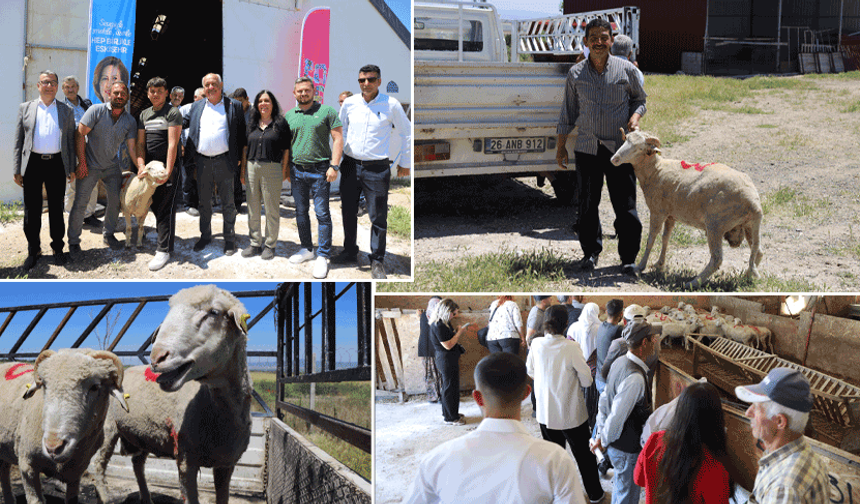 Büyükşehir’den kırsala güçlü destek: Üreticilerin yüzü güldü