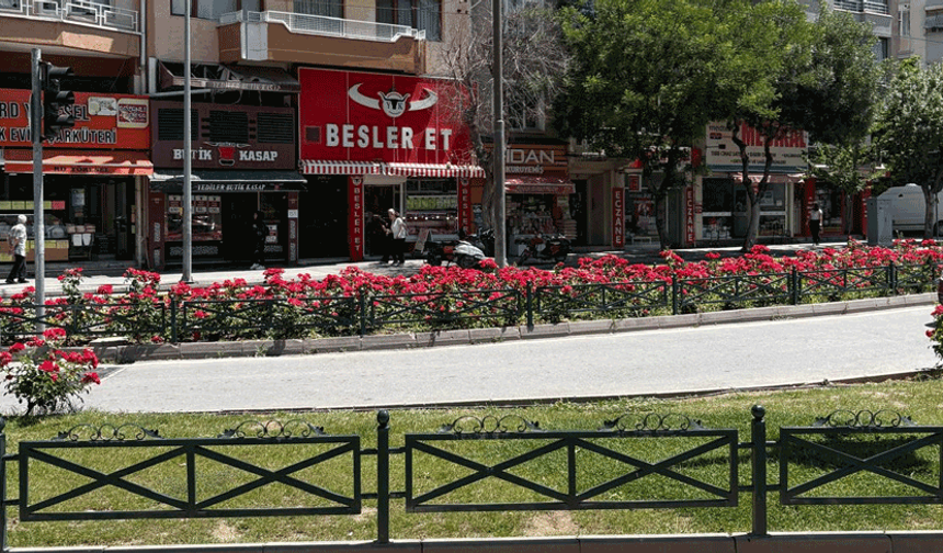 Eskişehir yazı rengârenk çiçeklerle karşıladı