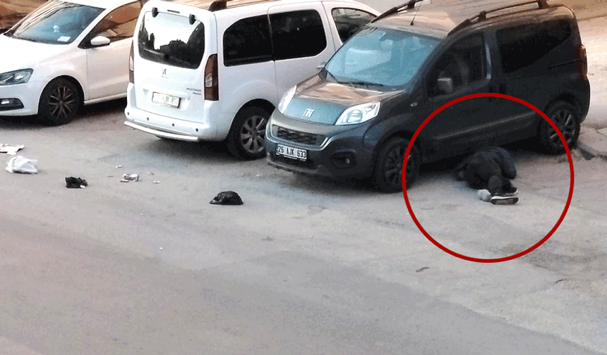 Eskişehir’de hareketsiz bulunan şahıs ekipleri harekete geçirdi