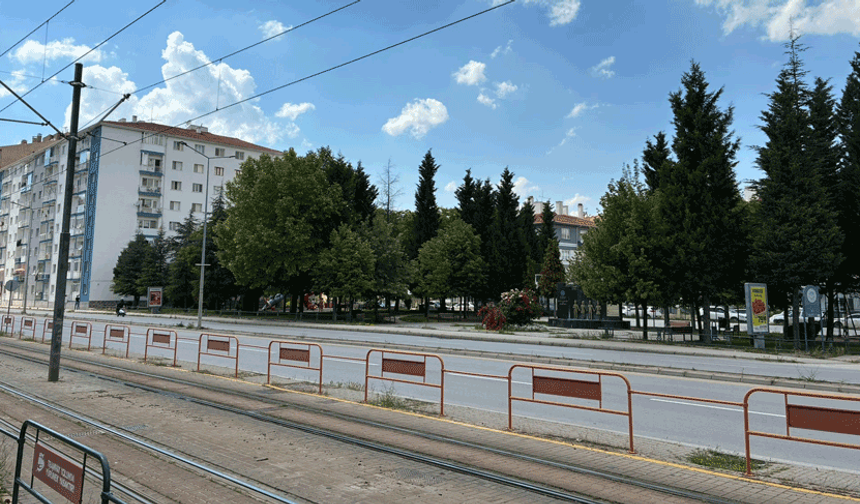 Eskişehirli vatandaşlardan ilaçlama talebi
