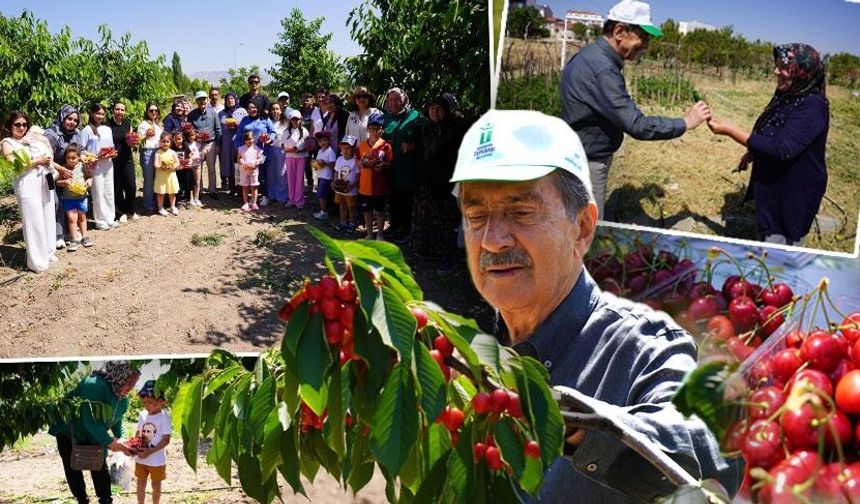 Tepebaşı’nda Mahalle Bahçesi modeli örnek oluyor: Yetişen ürünler vatandaşlarla paylaşıldı