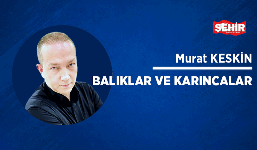 Balıklar ve karıncalar