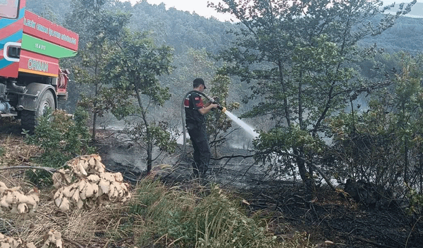 Bilecik'te çıkan yangın ormanlık alana sıçramadan söndürüldü
