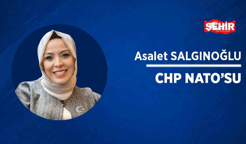 CHP NATO'su
