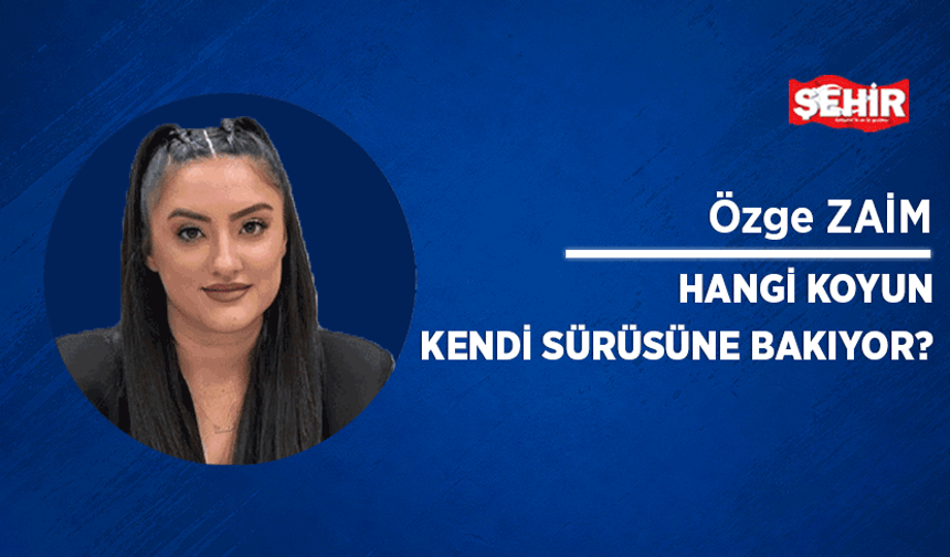 Hangi koyun kendi sürüsüne bakıyor?