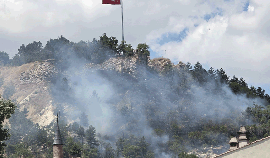 Kütahya'da korkutan yangın
