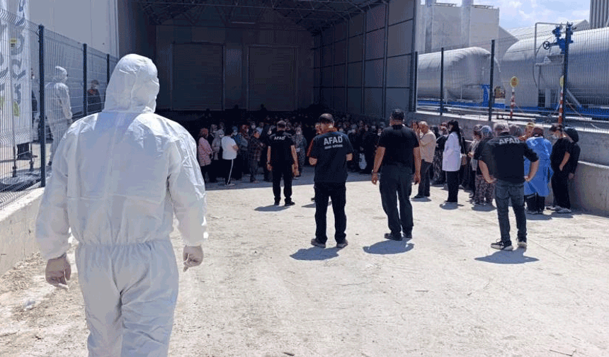 Afyon'da  domates serasında zehirlenme: 10 çalışan hastaneye kaldırıldı