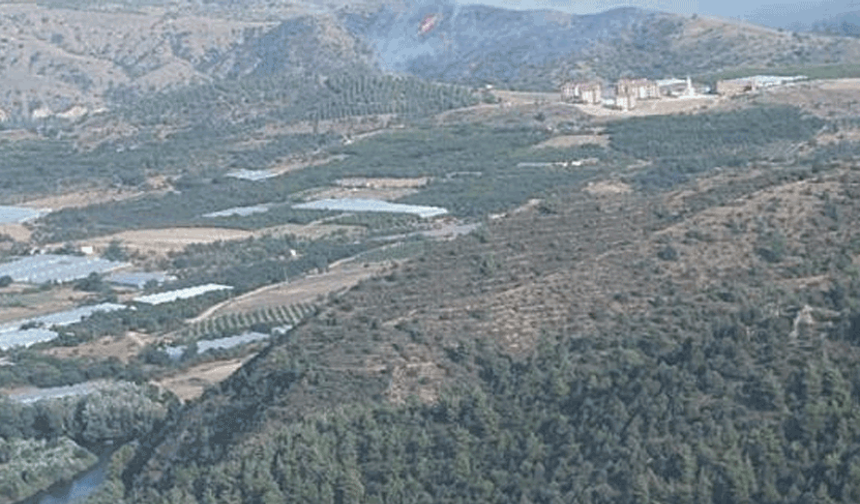 Bilecik’te orman yangını kontrol altına alındı
