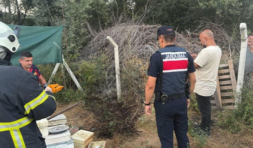 Bilecik'te ot ve çalılık yangını büyümeden söndürüldü