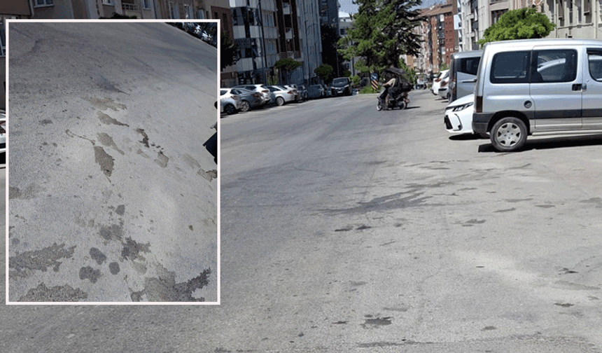Eskişehir'in o mahallesinde çöp ve temizlik sorunu büyüyor