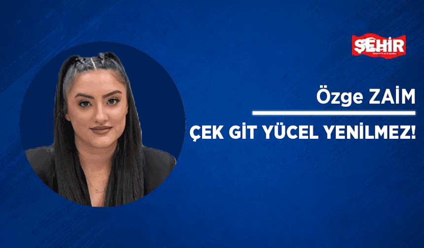 Çek git Yücel Yenilmez!