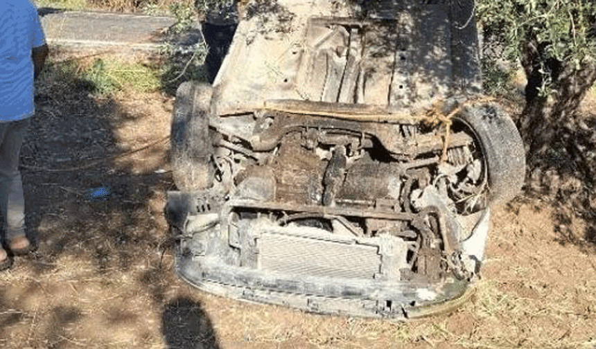 Hatay Altınözü’nde otomobil zeytinliğe uçtu: 1 yaralı