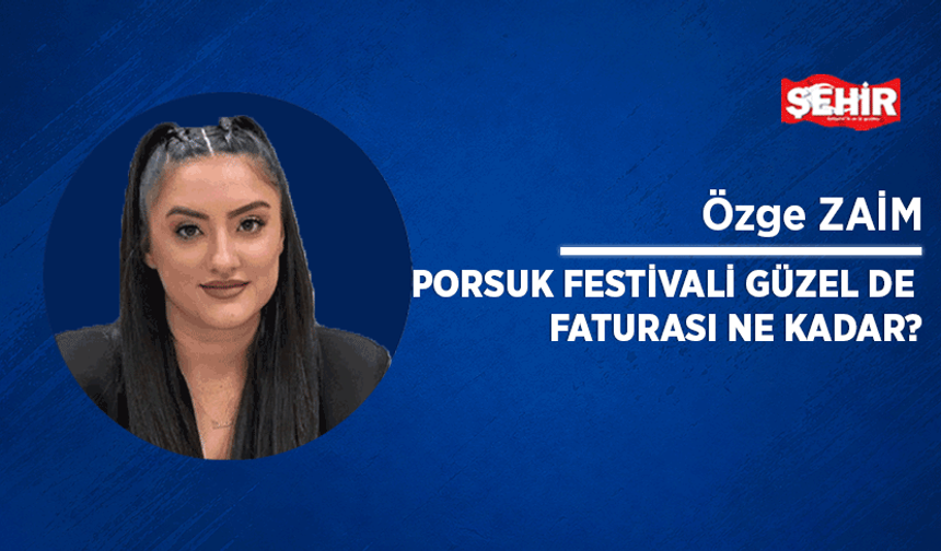 Porsuk Festivali güzel de faturası ne kadar?