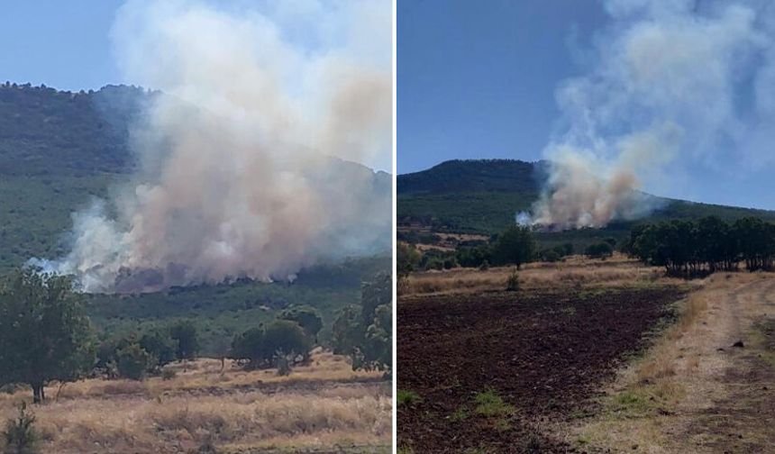 Sivrihisar'da ormanlık alanda çıkan yangın kontrol altına alınmaya çalışılıyor