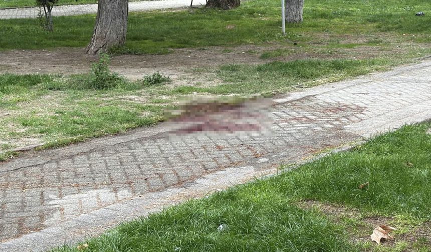 Eskişehir'de arkadaşlar arasındaki kavga ölümle bitti