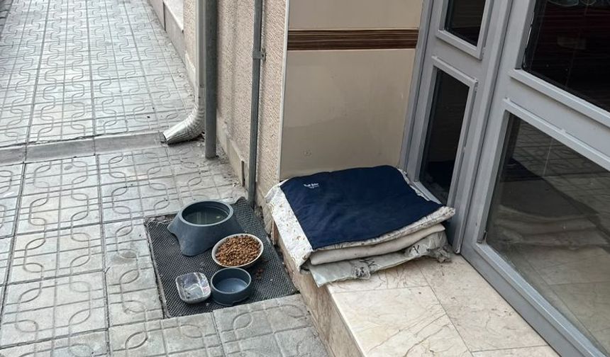 Eskişehir’de sokak hayvanları için örnek davranış