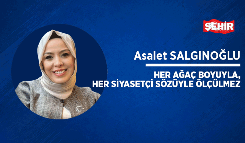 Her ağaç boyuyla, her siyasetçi sözüyle ölçülmez