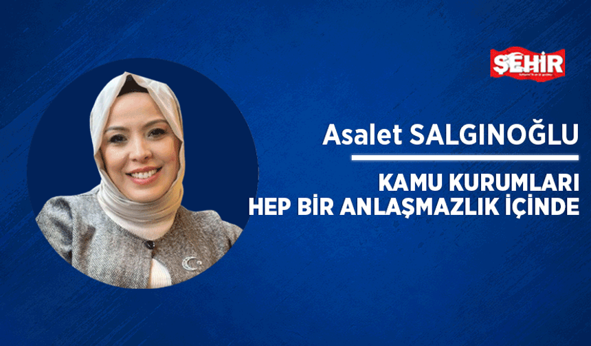 Kamu kurumları hep bir anlaşmazlık içinde