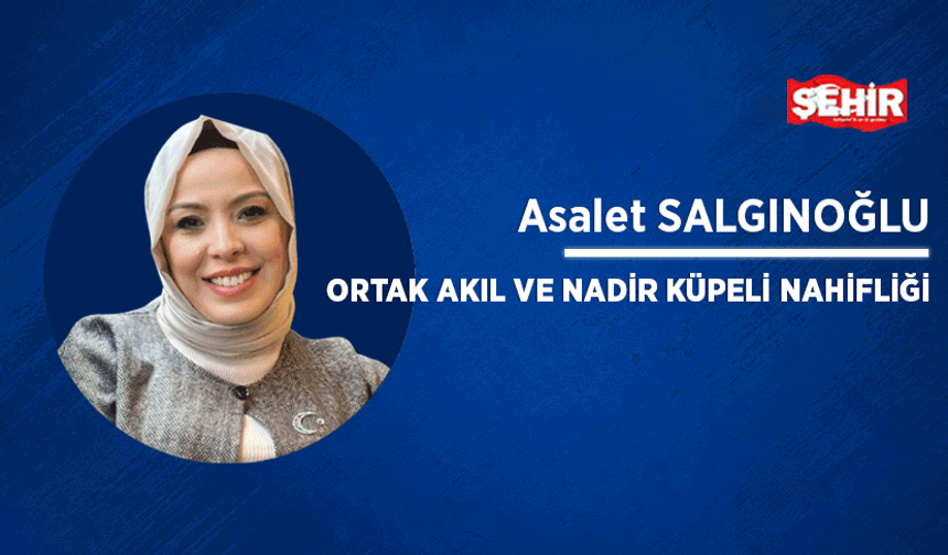 Ortak akıl ve Nadir Küpeli nahifliği