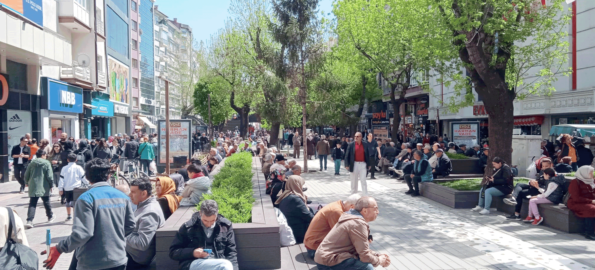 secim-sen-nelere-kadirsin-nazim-aydin-2