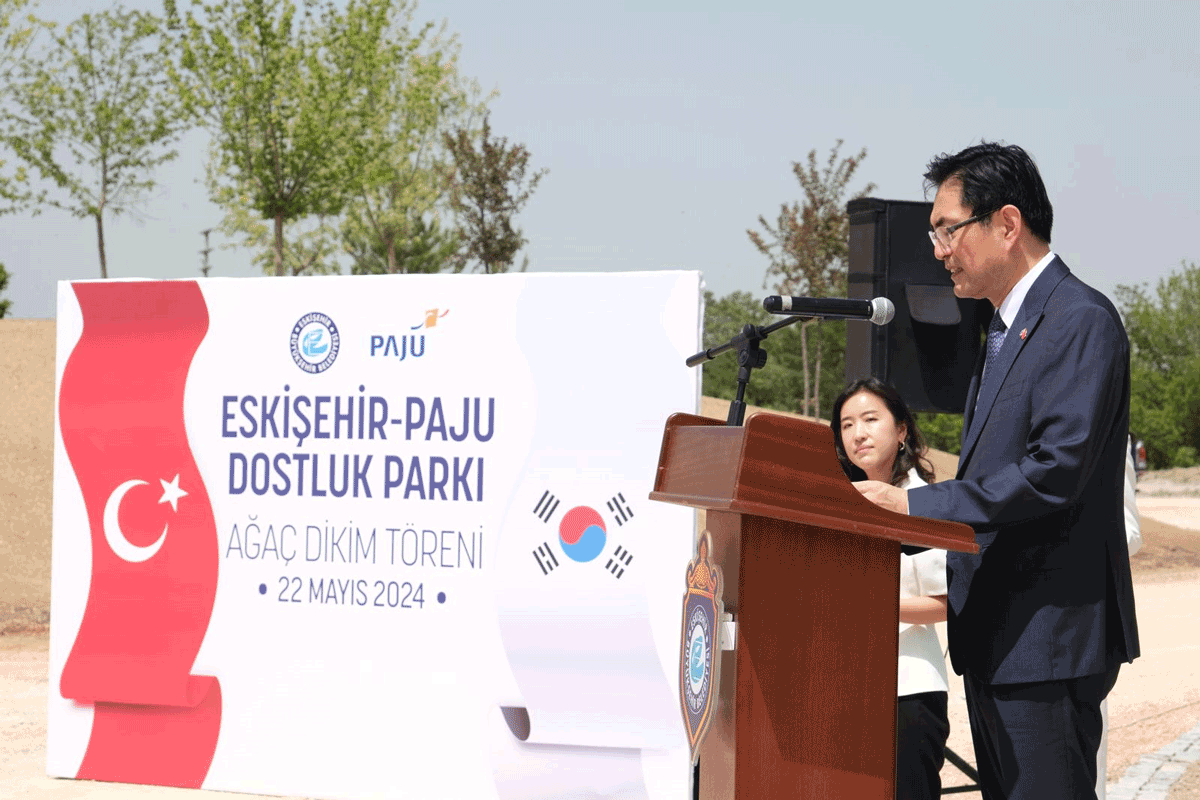 Paju Detay5