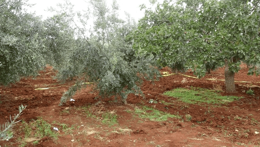Kilis'te tarlasını sürerken traktörden düşerek hayatını kaybetti