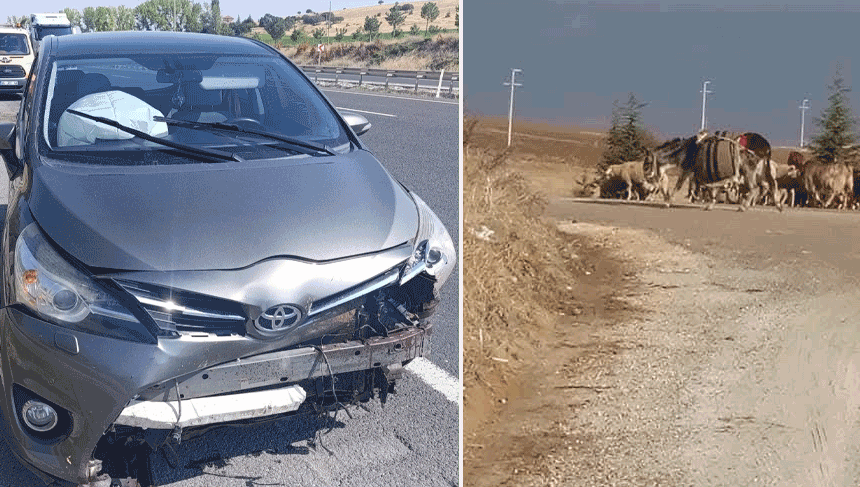 Sivrihisar’da yola aniden çıkan koyun kazaya neden oldu: 1 yaralı